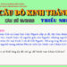 CÂU SỐ 16/2025 – DÀNH CHO THIẾU NHI