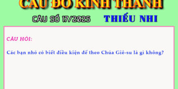 CÂU SỐ 17/2025 – DÀNH CHO THIẾU NHI