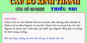 CÂU SỐ 18/2025 – DÀNH CHO THIẾU NHI