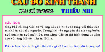 CÂU SỐ 19/2025 – DÀNH CHO THIẾU NHI