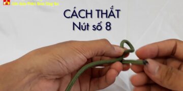 NÚT (GÚT) DÂY: CHỊU ĐƠN, CHỊU KÉP, SỐ 8