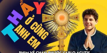 THẦY Ở CÙNG ANH CHỊ EM – PHIM TÀI LIỆU VỀ THÁNH ACUTIS