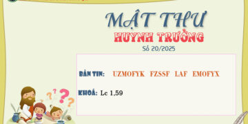 MẬT THƯ SỐ 20/2025 – DÀNH CHO HUYNH TRƯỞNG