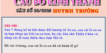 CÂU SỐ 20/2025 – DÀNH CHO HUYNH TRƯỞNG