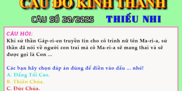 CÂU SỐ 20/2025 – DÀNH CHO THIẾU NHI