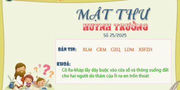 MẬT THƯ SỐ 25/2025 – DÀNH CHO HUYNH TRƯỞNG