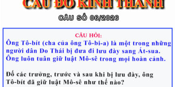 CÂU SỐ 06/2026 – DÀNH CHO HUYNH TRƯỞNG