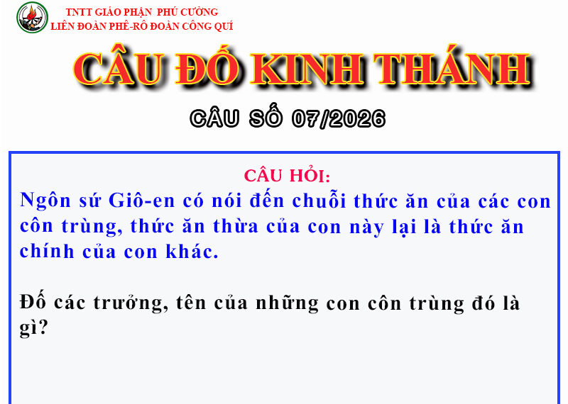CÂU SỐ 07/2026 – DÀNH CHO HUYNH TRƯỞNG