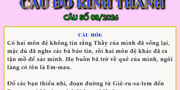 CÂU SỐ 08/2026 – DÀNH CHO THIẾU NHI