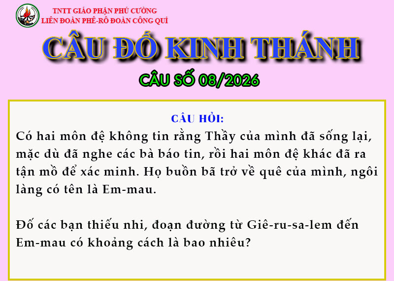 CÂU SỐ 08/2026 – DÀNH CHO THIẾU NHI