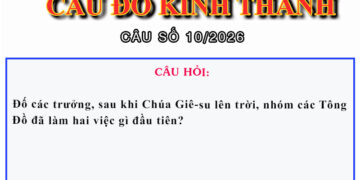 CÂU SỐ 10/2026 – DÀNH CHO HUYNH TRƯỞNG