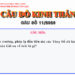 CÂU SỐ 11/2026 – DÀNH CHO HUYNH TRƯỞNG