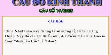 CÂU SỐ 10/2026 – DÀNH CHO THIẾU NHI