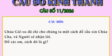 CÂU SỐ 11/2026 – DÀNH CHO THIẾU NHI