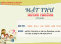 MẬT THƯ SỐ 11/2026 – DÀNH CHO HUYNH TRƯỞNG