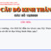 CÂU SỐ 12/2026 – DÀNH CHO HUYNH TRƯỞNG