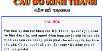 CÂU SỐ 13/2026 – DÀNH CHO HUYNH TRƯỞNG