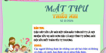 MẬT THƯ SỐ 12/2026 – DÀNH CHO THIẾU NHI