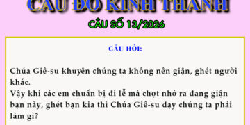 CÂU SỐ 13/2026 – DÀNH CHO THIẾU NHI