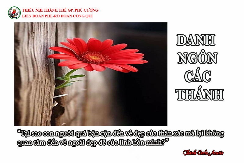 DANH NGÔN CÁC THÁNH