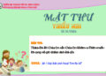 MẬT THƯ SỐ 14/2026 – DÀNH CHO THIẾU NHI
