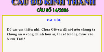 CÂU SỐ 14/2026 – DÀNH CHO THIẾU NHI