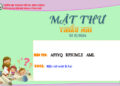 MẬT THƯ SỐ 15/2026 – DÀNH CHO THIẾU NHI