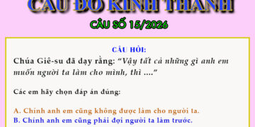 CÂU SỐ 15/2026 – DÀNH CHO THIẾU NHI