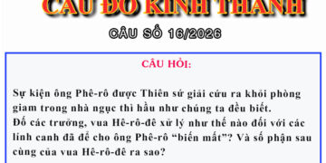 CÂU SỐ 16/2026 – DÀNH CHO HUYNH TRƯỞNG