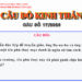 CÂU SỐ 17/2026 – DÀNH CHO HUYNH TRƯỞNG