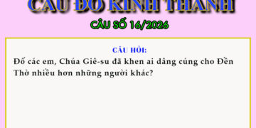 CÂU SỐ 16/2026 – DÀNH CHO THIẾU NHI