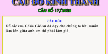 CÂU SỐ 17/2026 – DÀNH CHO THIẾU NHI