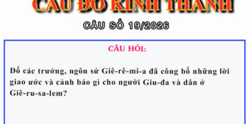 CÂU SỐ 19/2026 – DÀNH CHO HUYNH TRƯỞNG