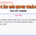 CÂU SỐ 19/2026 – DÀNH CHO HUYNH TRƯỞNG