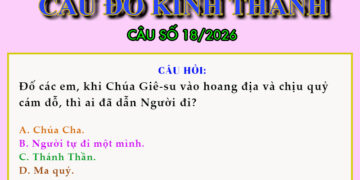 CÂU SỐ 18/2026 – DÀNH CHO THIẾU NHI