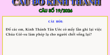 CÂU SỐ 19/2026 – DÀNH CHO THIẾU NHI
