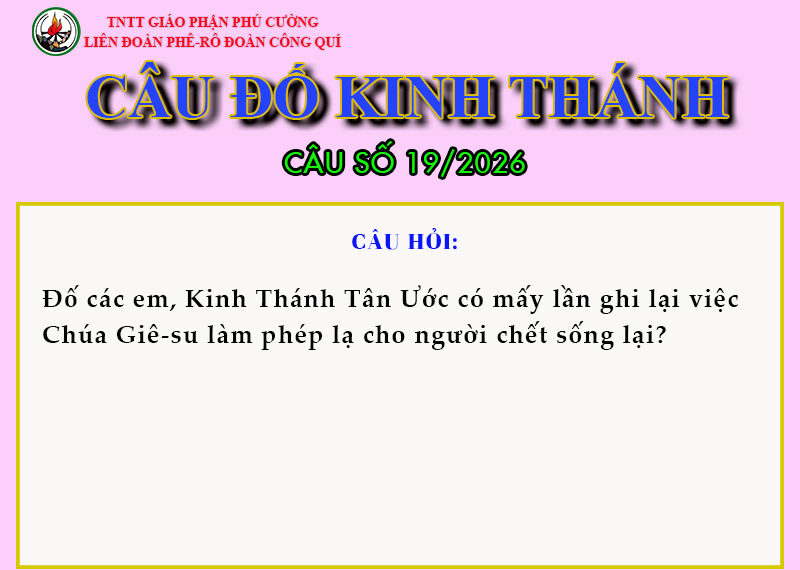 CÂU SỐ 19/2026 – DÀNH CHO THIẾU NHI