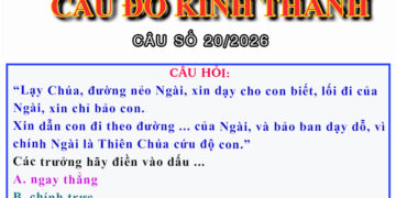 CÂU SỐ 20/2026 – DÀNH CHO HUYNH TRƯỞNG