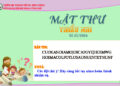 MẬT THƯ SỐ 20/2026 – DÀNH CHO THIẾU NHI