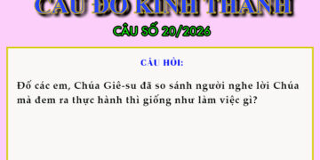 CÂU SỐ 20/2026 – DÀNH CHO THIẾU NHI