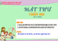 MẬT THƯ SỐ 21/2026 – DÀNH CHO THIẾU NHI