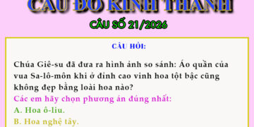 CÂU SỐ 21/2026 – DÀNH CHO THIẾU NHI