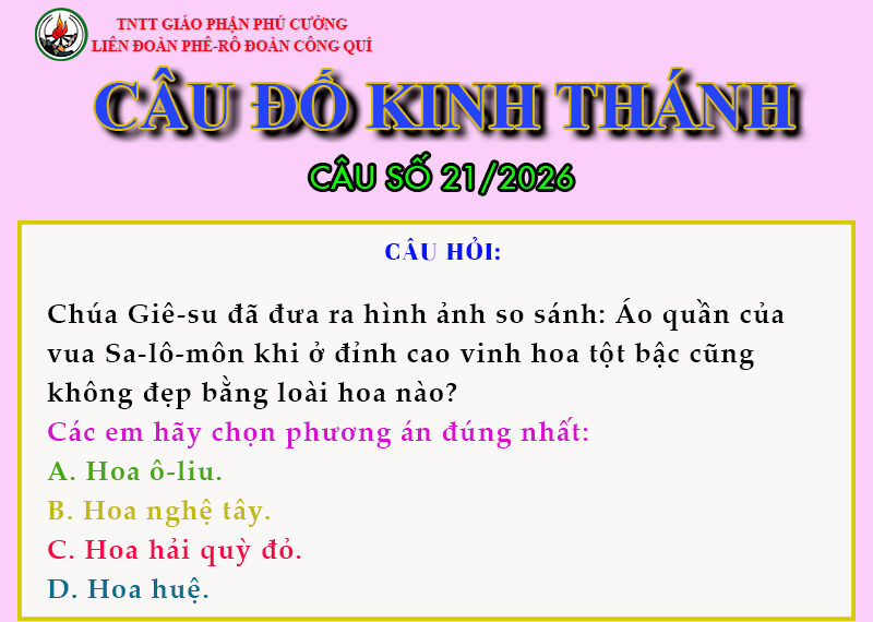 CÂU SỐ 21/2026 – DÀNH CHO THIẾU NHI
