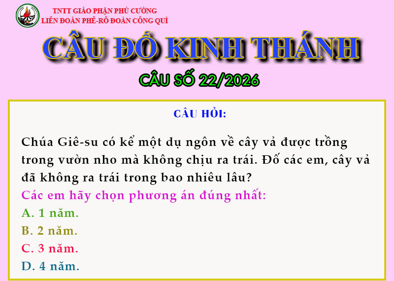 CÂU SỐ 22/2026 – DÀNH CHO THIẾU NHI